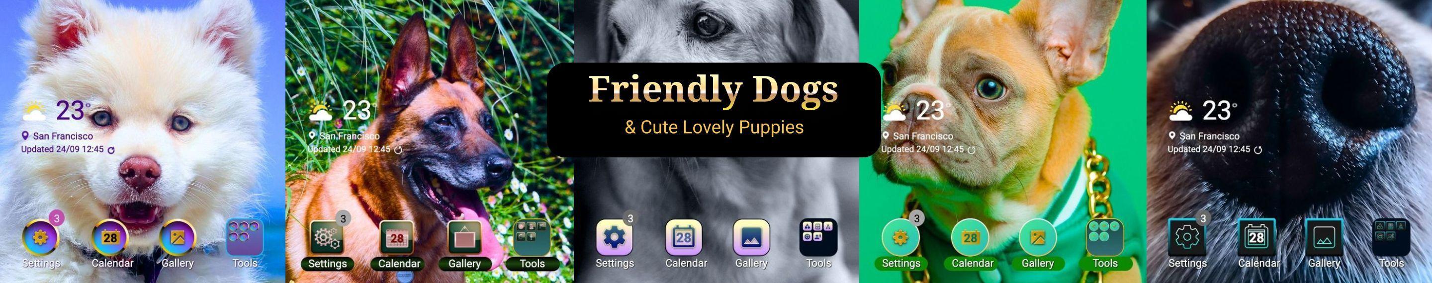 Friendly Dogs